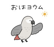 876863978