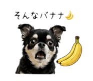 876871360