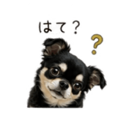 876871365