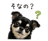 876871367