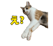 876872494