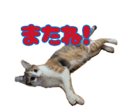 876872495