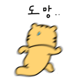876875338