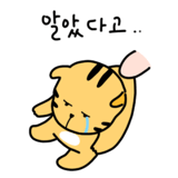 876875353