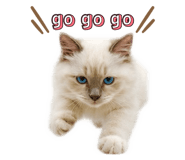 876875658