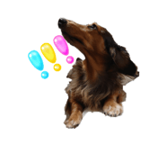 876877370