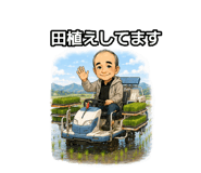 876877414