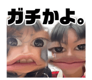 876877497