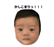 876877646