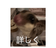 876878106