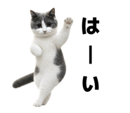 876878720