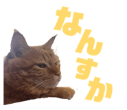 876879121