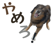 876879124