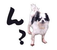 876879127