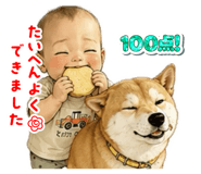 876879141