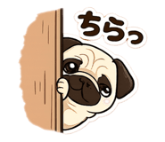876879429