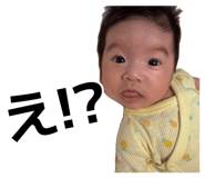 876879442