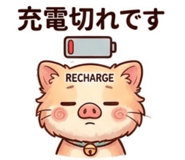 876890074