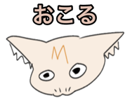 876891803