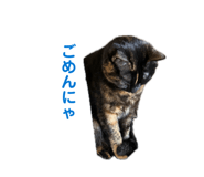 876891965