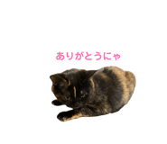 876891968