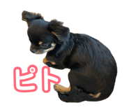 876892139