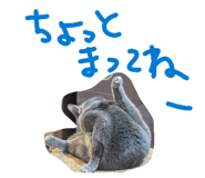 876895394