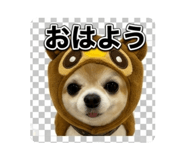 876897674