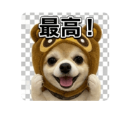 876897683