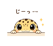 876898643