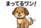 876898896