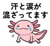 876903351