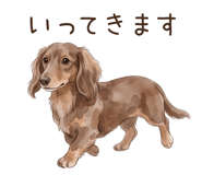 876906645