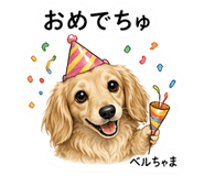 876907685