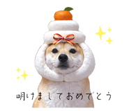 876916889