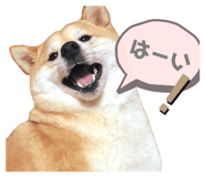 876916890