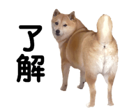 876916892