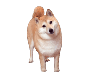876916894