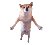 876916896