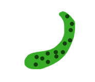 876923332
