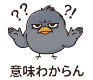 876923555