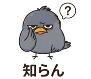 876923556