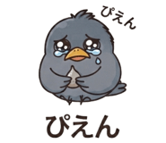 876923565