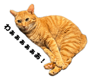 876923817