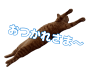 876923820