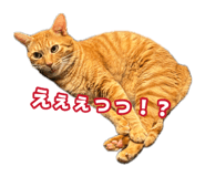 876923821