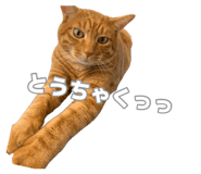 876923824