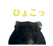 876924378