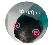 876924387