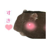 876924395